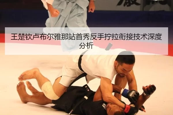 wang-chu-qin-lu-bu-er-ya-na-zhan-shou-xiu-fan-shou-ning-la-xian-jie-ji-shu-shen-du-fen-xi-2-603.jpg